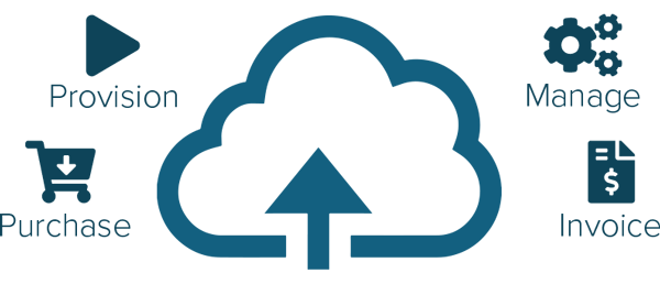 Digital Commerce Platform: Purchase - Provision - Manage - Invoice